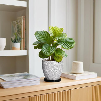 Ceramic Plant Pots - 6 Inch Planters for Indoor Outdoor Plants, Round Plant Pot with Drainage Hole and Saucer, Ceramic Succulent Pots, Desk House Decor, Gardening Gifts for Women, White-Black