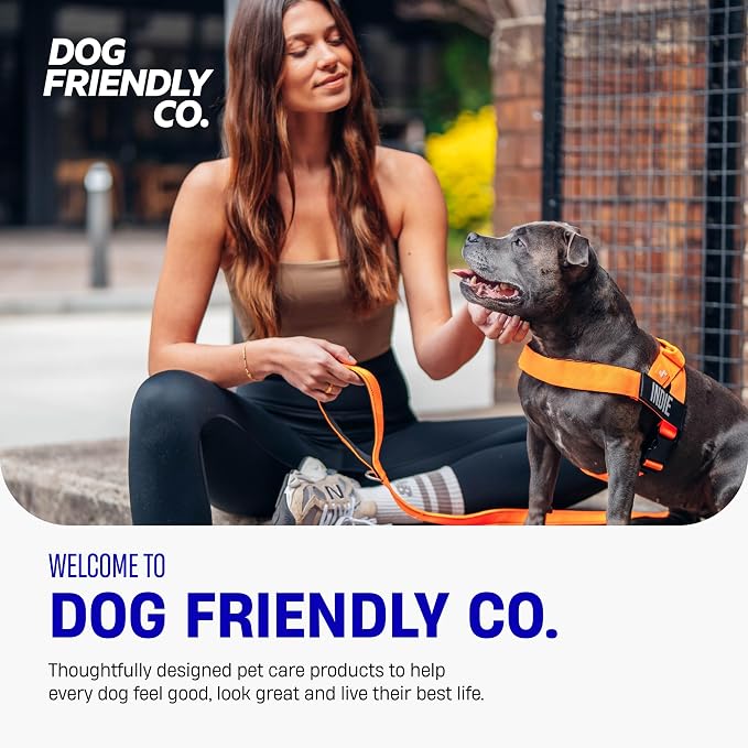 Dog Friendly Co. Dog Harness for Small Dogs (Sky Blue, Small) | One Click Buckle, Chafe Resistant Webbing, Adjustable Neck & Chest, and Heavy Duty D-Ring, Sturdy Comfortable and Easy to Use