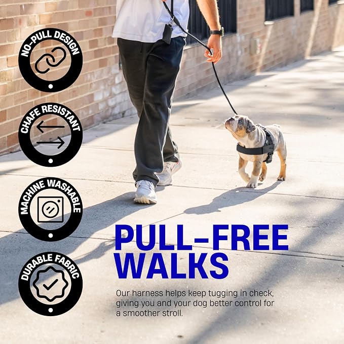 Dog Friendly Co. Dog Harness for Large Dogs (Black, Large) | One Click Buckle, Chafe Resistant Webbing, Adjustable Neck & Chest, and Heavy Duty D-Ring, Sturdy Comfortable and Easy to Use