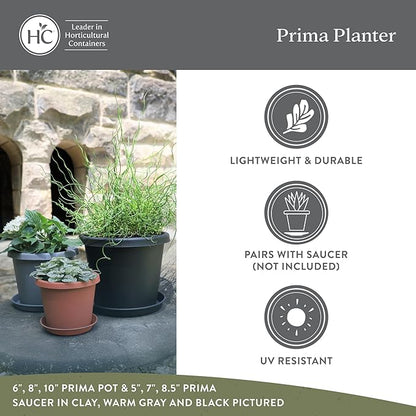 The HC Companies 8 Inch Prima Round Planter Pots with Drainage Holes and Rolled Rim, Lightweight UV-Resistant Plastic Indoor & Outdoor Planters, 4-Pack Flower Pots for Garden & Home Decor, Warm Gray