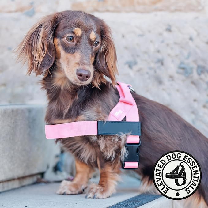 Dog Friendly Co. Dog Harness for Large Breeds (Pink, Extra Large) | One Click Buckle, Chafe Resistant Webbing, Adjustable Neck & Chest, and Heavy Duty D-Ring, Sturdy Comfortable and Easy to Use