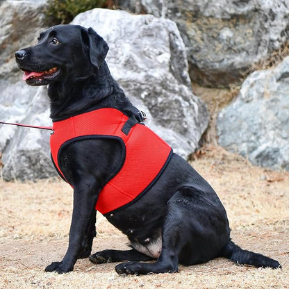 PUPPIA International Puppia Harness Soft B Vest RED XLarge