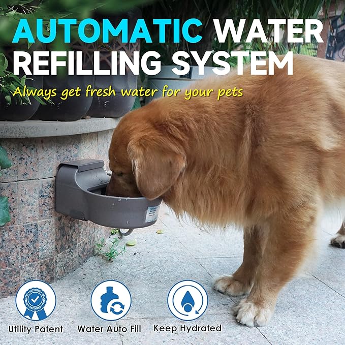 Automatic Dog Water Dispenser