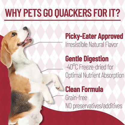 Just Try 8.82 oz Freeze-Dried Beef Liver for Dogs & Cats – Single Ingredient Dog Treats & cat Treats, High Protein, Grain-Free, Rich in Iron & Vitamin A,Healthy Training Treats