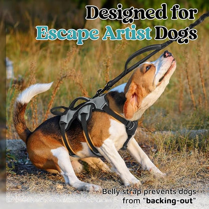 rabbitgoo Escape Proof Dog Harness for Small, No Pull with Lift Handle | No Escape, Full Soft Padded, Reflective Adjustable Vest, Leash Clip for Walking Hiking Training, Grey, Small