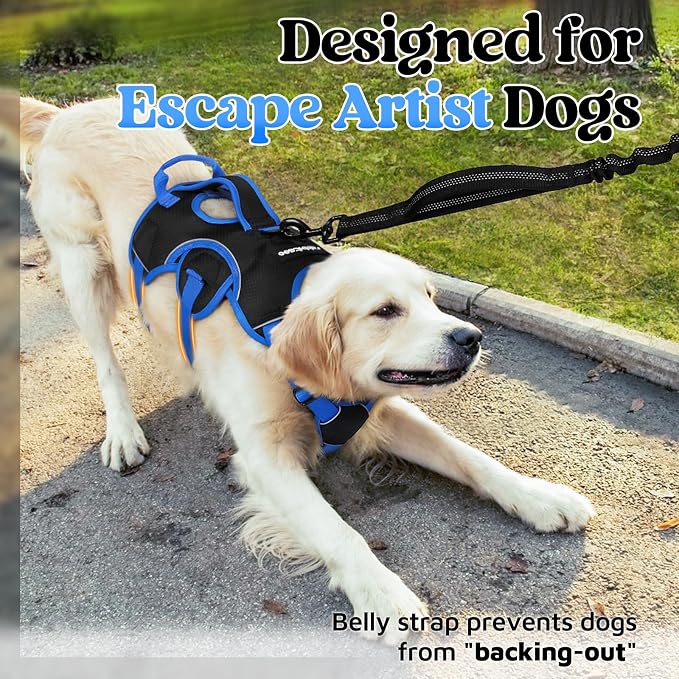 rabbitgoo Escape Proof Dog Harness for Large, No Pull with Lift Handle | No Escape, Full Soft Padded, Reflective Adjustable Vest, Leash Clip for Walking Hiking Training, Blue & Black, Large