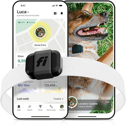 Fi Mini GPS Tracker for Dogs — 6-Month Membership Included — Smart Pet Tracking