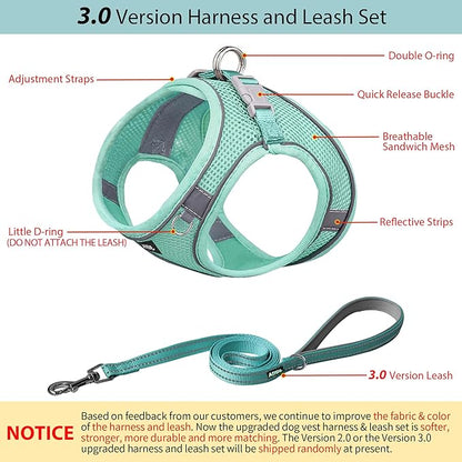 AIITLE Escape Proof Dog Harness - Step in Adjustable Dog Harness No Choke Over with Quick-Release Buckle for Summer- Outdoor Walking, Camping, Training for Medium Dogs Pure Turquoise XL
