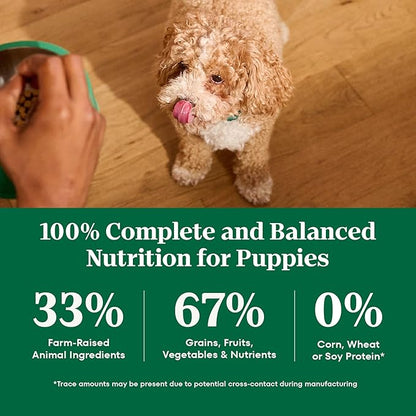 Nutro Natural Choice Lamb & Brown Rice Puppy Food Dry Recipe, 4.5 lb. Bag