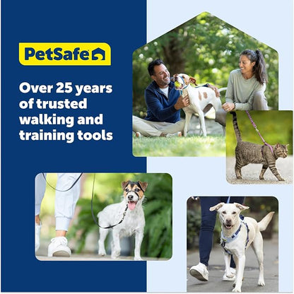 PetSafe Easy Walk Comfort No Pull Dog Harness, Green, Small | Stops Pulling on First Use with Front Martingale Loop, Full-Body Padding, 5-Point Adjustable Fit