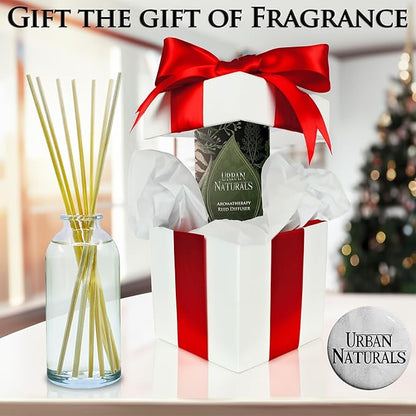 Urban Naturals Winter Birch Reed Diffuser Oil Gift Set | Birch Wood & Balsam