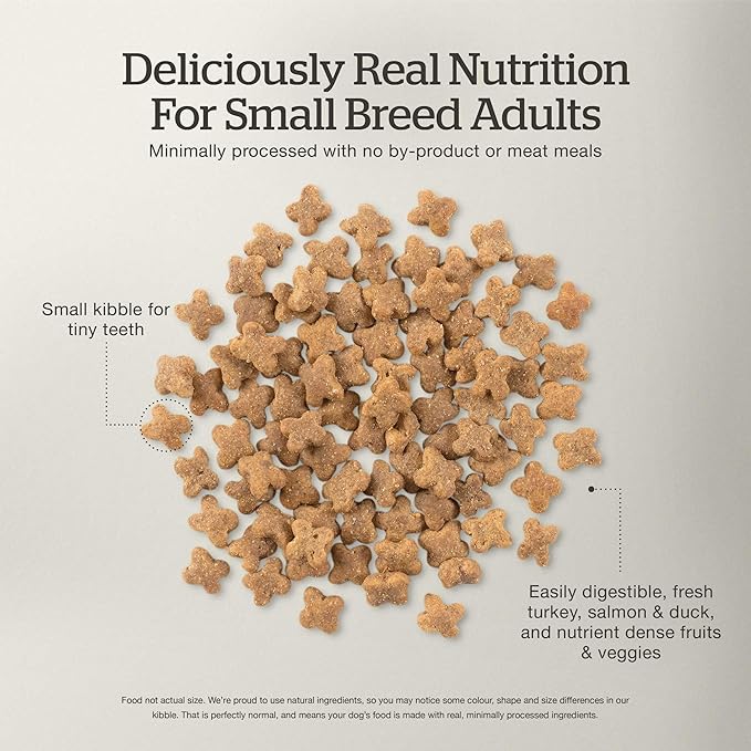Now Fresh Grain-Free Small Breed Dry Dog Food with Turkey, Salmon & Duck, Healthy Kibble for Adults Made with Real Meat & Fish, Chicken-Free Recipe, Pumpkin & Probiotics for Good Digestion, 22 lb Bag