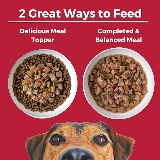 KOHA Lone Star Brisket Stew for Dogs with Beef, High Protein Wet Dog Food, 12.7oz Cans (Case of 12)