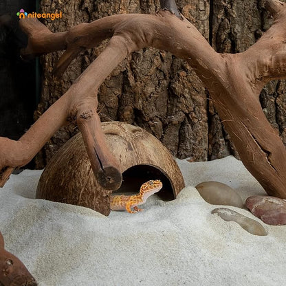 2 Pack Natural Coconut Reptile Hideouts, Lizard, Spider and Aquarium Fish Hide Cave (Smooth Surface)