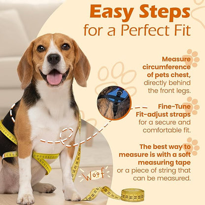 Bark Appeal Aqua Blue No-Pull Dog Harness for Extra Large Sized Pets – Adjustable, Reflective Vest with 3 Leash Clips for Added Control, Easy Walks & Training – XXL