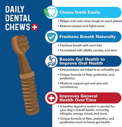 Bernie's Charming Chompers - Daily Dental Chews for Dogs 26-50 Lbs. - 18 Count - Cleans Teeth, Freshens Breath, + Boosts Oral-Gut Microbiome. Easy to Digest, Supports Healthy Digestion Naturally