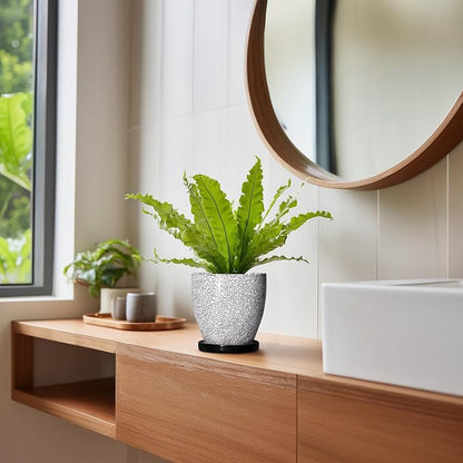 Ceramic Plant Pots - 6 Inch Planters for Indoor Outdoor Plants, Round Plant Pot with Drainage Hole and Saucer, Ceramic Succulent Pots, Desk House Decor, Gardening Gifts for Women, White-Black