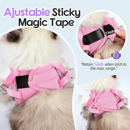 Dooradar Cat Harness and Leash Set, Escape Proof Lightweight Kitten Harness, Soft Breathable Reflective Vest for Outdoor Walking Traveling, Adjustable for Medium Cats, Purple & Pink, M