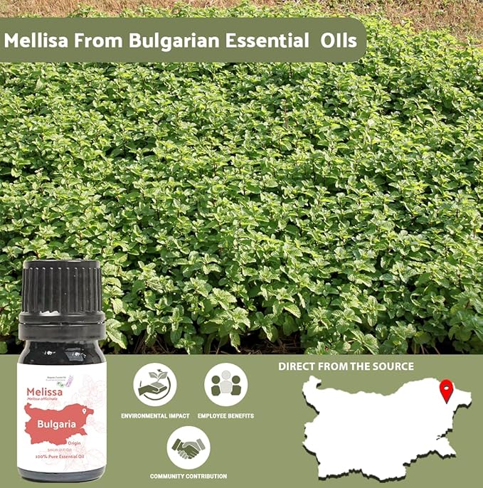 Melissa Essential Oil