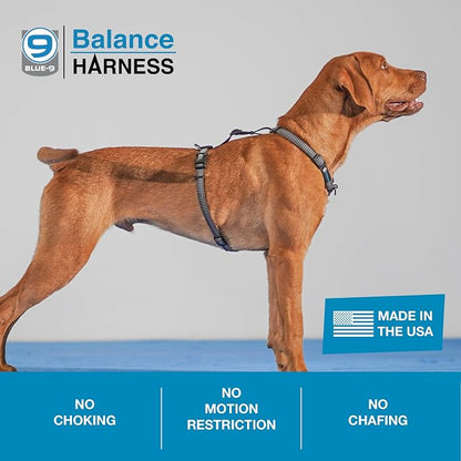 Blue-9 Reflective Buckle-Neck Balance Harness, Fully Customizable Fit No-Pull Harness with 3M Reflective Stitching, Ideal for Dog Training and Obedience, Made in The USA, Grey, Large