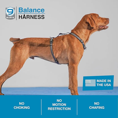 Blue-9 Reflective Buckle-Neck Balance Harness, Fully Customizable Fit No-Pull Harness with 3M Reflective Stitching, Ideal for Dog Training and Obedience, Made in The USA, Grey, Small