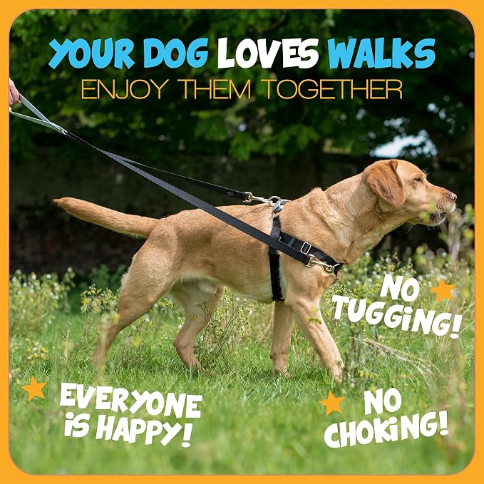 2 Hounds Design Freedom No Pull Dog Harness and Leash, 1" LG, Raspberry | Promotes Easy Walking & Comfortable Control, Secure Fit, Adjustable Harness and Leash Set for Large Sized Dogs, Made in USA