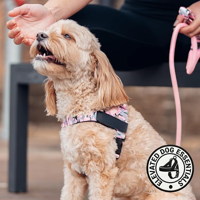 Dog Friendly Co. Dog Harness for Medium Dogs (Pink Camo, Medium) | One Click Buckle, Chafe Resistant Webbing, Adjustable Neck & Chest, and Heavy Duty D-Ring, Sturdy Comfortable and Easy to Use