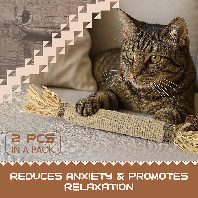 HUPA Catnip Silvervine Sticks | Anxiety Relief & Kitten Teeth Cleaning, Natural Silvervine with Raffia Grass for Healthy Teeth & Digestion | for Indoor Cats, All Ages & Breeds | 2 Sticks