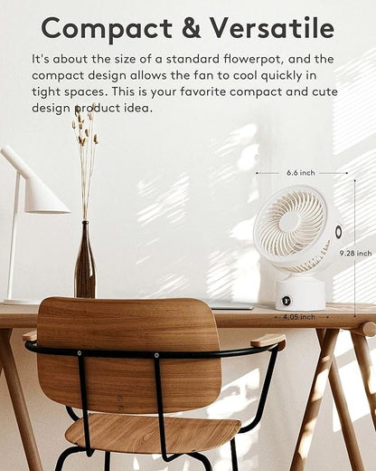 CARONSORT Small Desk Oscillating Fan, Table Air Circulator Fans
