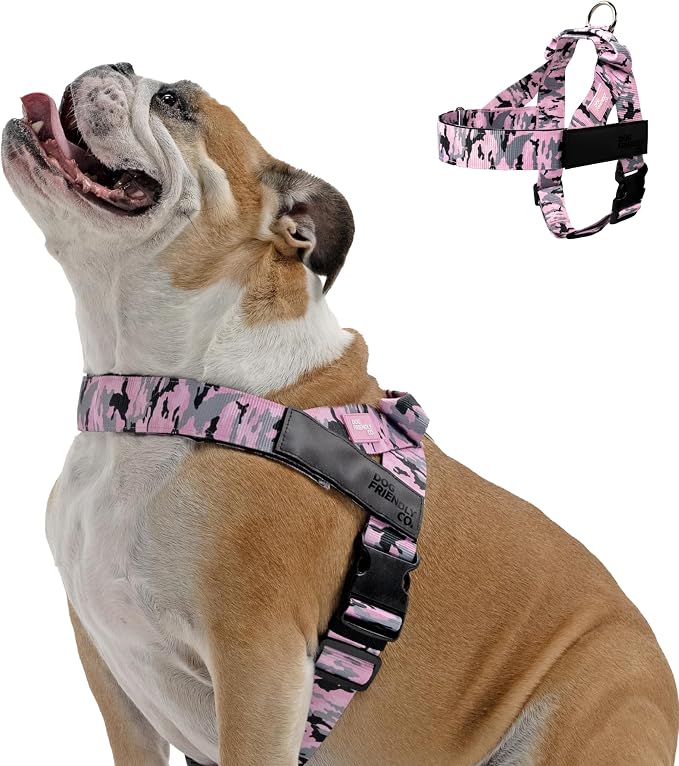 Dog Friendly Co. Dog Harness for Medium Dogs (Pink Camo, Medium) | One Click Buckle, Chafe Resistant Webbing, Adjustable Neck & Chest, and Heavy Duty D-Ring, Sturdy Comfortable and Easy to Use