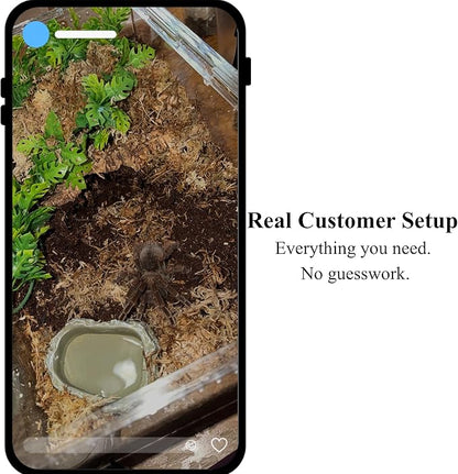 Tarantula Rehousing Supply Kit - Beginner Tarantula Setup Supplies - Substrate, Moss, Plant & Water Dish - Spider Habitat Terrarium Kit