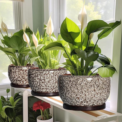 SQOWL Ceramic Plant Pots - 6 Inch Ceramic Planter for Indoor Outdoor, Small Flower Pots with Drainage Hole and Saucer, Decorative Round Planter, Home Office Decor, Plant Lover Gifts, White