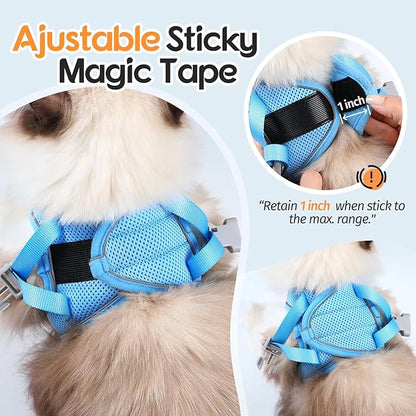 Dooradar Cat Harness and Leash Set, Escape Proof Lightweight Kitten Harness, Soft Breathable Reflective Vest for Outdoor Walking Traveling, Adjustable for Large Cats, Orange & Blue, L
