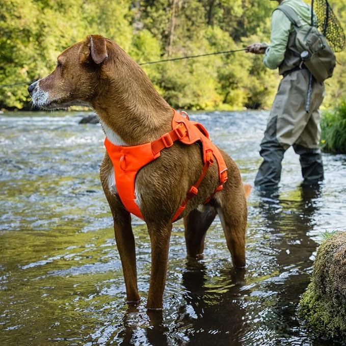 Ruffwear, Web Master, Multi-Use Support Dog Harness, Hiking and Trail Running, Service and Working, Everyday Wear, River Rock Green, Large/X-Large