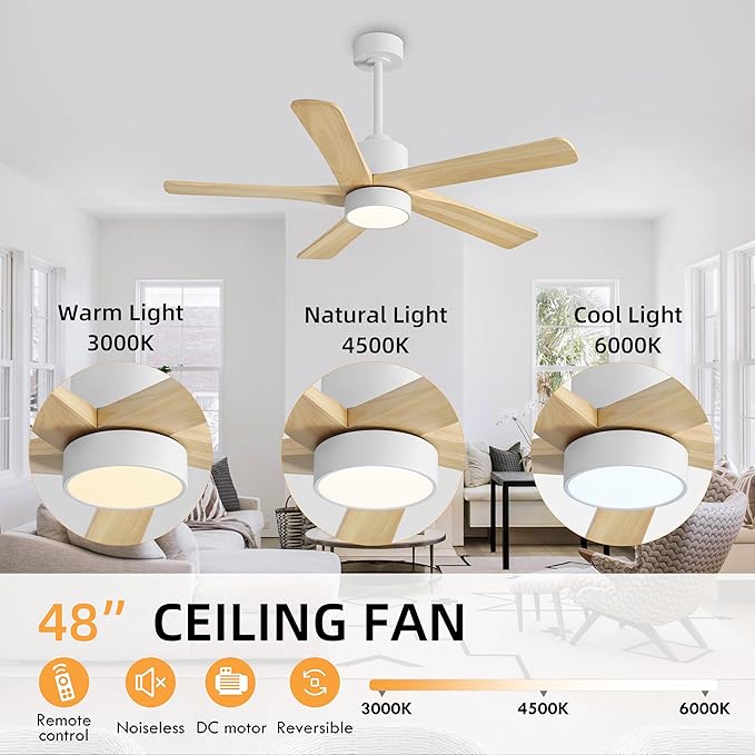 WINGBO 48 Inch DC Ceiling Fan