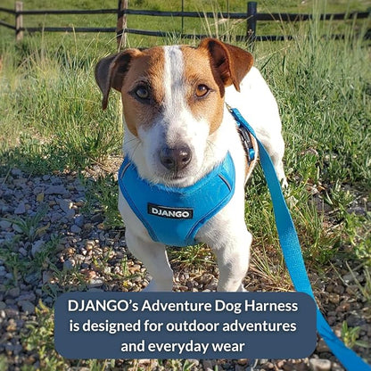 Adventure Dog Harness - Stylish & Durable Large Dog Harness for Outdoor Adventures and Everyday Wear - Pacific Blue Neoprene Adjustable Harness for Dogs with Reflective Piping, Brass D-Ring