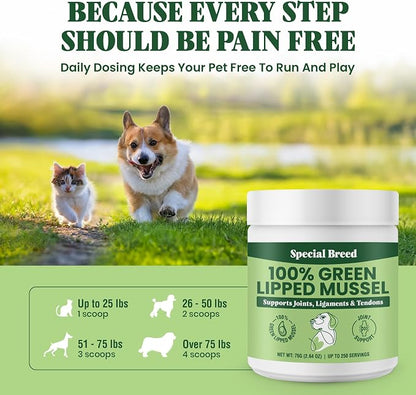 Green Lipped Mussel Powder for Dogs & Cats - 100% New Zealand Green Lipped Mussels - Natural Hip & Joint Supplement for Joints, Tendons, Ligaments, Muscles - 75 Grams - Up to 250 Servings