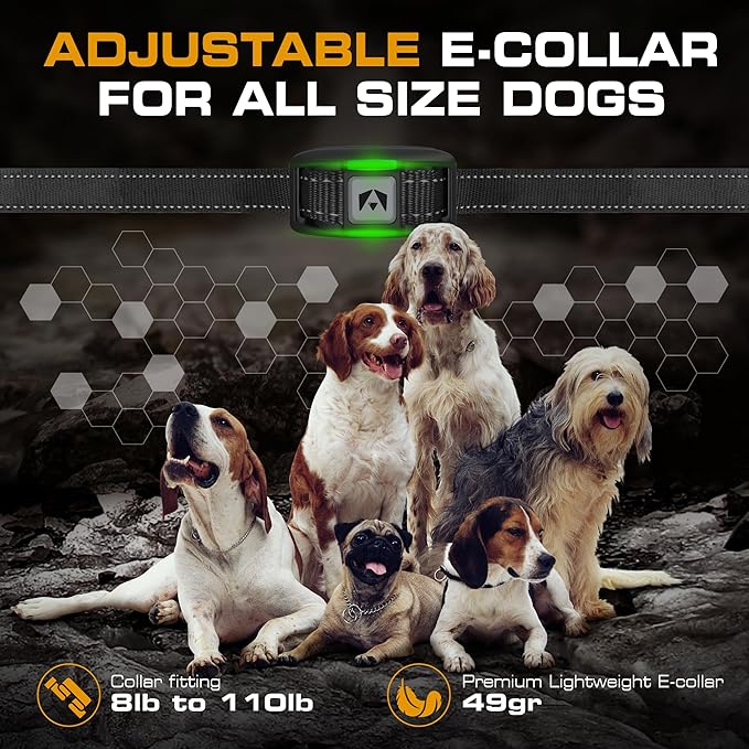 INVIROX 2026 Edition Dog Training Collar, 123 Levels