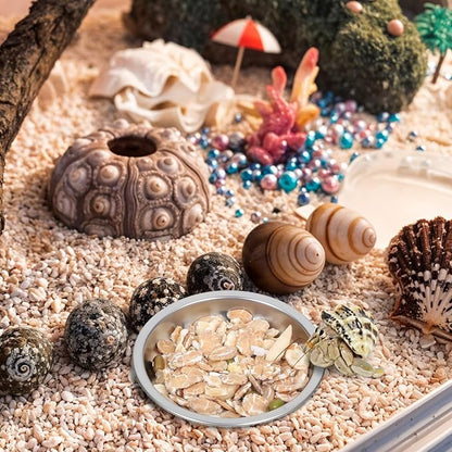 4 Pack Hermit Crab Food and Water Bowl, Small Stainless Steel Reptile Feeding Dish Bowl Mini Feeding Dishes for Hermit Crab Lizard Gecko Bearded Dragon Chameleon (2" W x 2" D x 0.4" H)