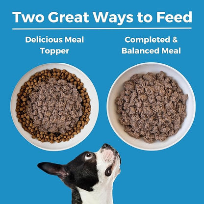 KOHA Limited Ingredient Diet Lamb Entrée for Dogs - Grain Free Wet Dog Food with No Fillers - Canned Dog Food Sensitive Stomach - 13 oz Pack of 12