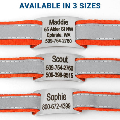 GoTags Reflective Personalized Dog Collar with Nameplate, Adjustable Dog Collar with Custom Engraved Steel Slide On Pet ID Tag, Silent, No Noise Dog Tag for Large Medium or Small (Orange, Large)