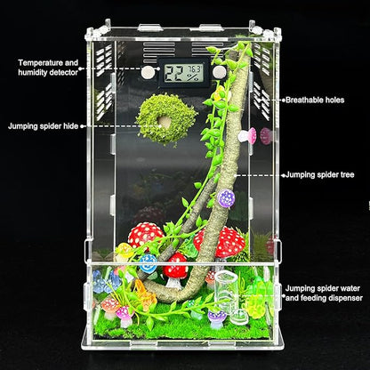 Jumping Spider Enclosure,DIY Insects Habitat,Small Reptile Terrarium Glass House Accessories Set,with Temperature and Humidity Detector Water Feeder Platform Hide,5.5“x5.5”x9.5“ (Luminous Mushrooms)