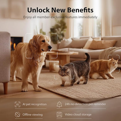 IMIPAW Automatic Cat Feeder