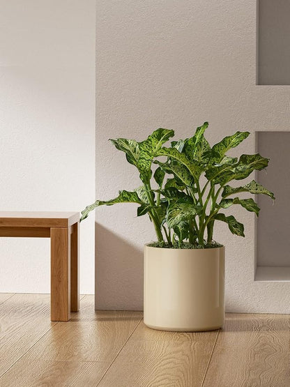 LE TAUCI 12 Inch Pot for Plants, Ceramic Planters for Indoor Plants, Mid-Century Modern Cylinder Flower Pots with Drainage Hole, Fits Fiddle Leaf Fig & Monstera, Home Decor, Sand Beige