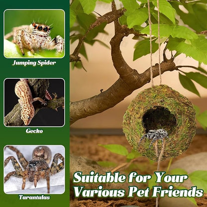 Jumping Spider Moss Cave Hide, Round Yellow Small Spider Moss Hideout, Jumping Spiders Cave Accessory for Reptile Terrarium