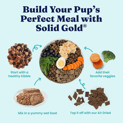 Solid Gold Wet Dog Food Variety Pack for Picky Eaters - Fit & Fabulous Chicken + Leaping Waters Chicken & Salmon Grain Free Canned Dog Food - Made with Real Protein for Sensitive Stomachs - 6 Pack