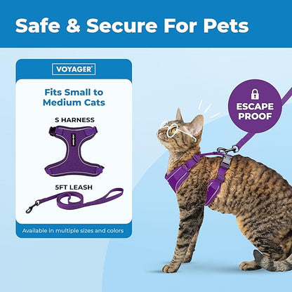 Voyager Escape Proof Cat Harness and Leash Set with Reflective Stitching, Neoprene Handle 5ft - Supports Small, Medium and Large Cats, Kittens for Walking by Best Pet Supplies - Purple, S