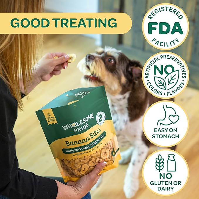 Wholesome Pride Banana Bites Dog Treats, 2 Ingredients – Bananas & Coconut Oil, Grain-Free, 16oz