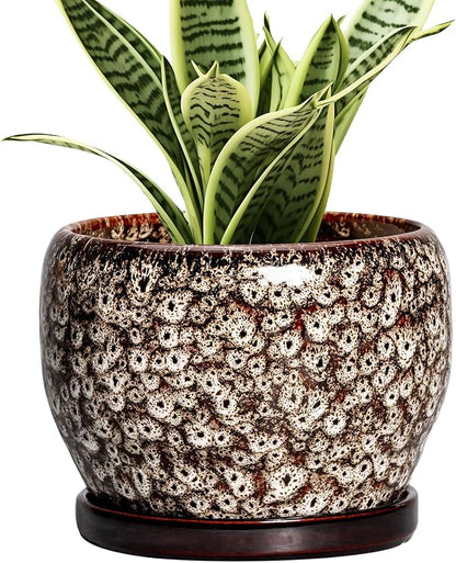 SQOWL Ceramic Plant Pots - 6 Inch Ceramic Planter for Indoor Outdoor, Small Flower Pots with Drainage Hole and Saucer, Decorative Round Planter, Home Office Decor, Plant Lover Gifts, White