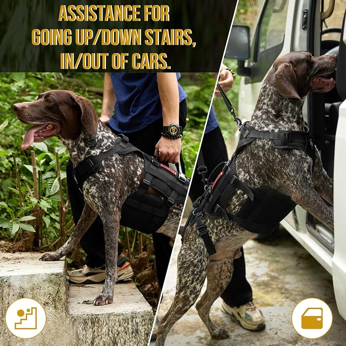 OneTigris Dog Lift Harness for Large Dogs, Dog Hip Support Brace, Full Body Lifter with Handles Invictus Multifunctional Mobility Assistance Vest for Back Legs (Black, Large)